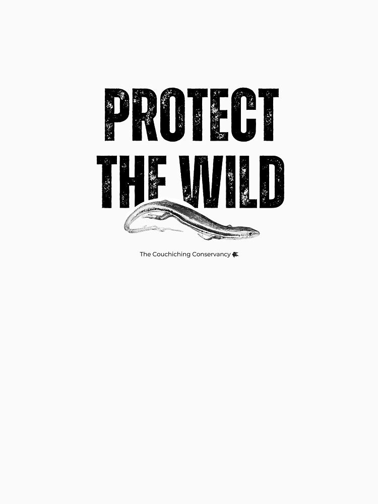 Protect the Wild- Skink by Couchiching Conservancy
