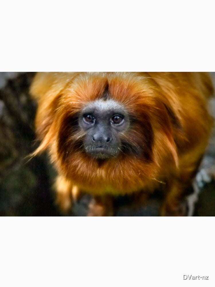 Goldin Lion Tamarin by DVart-nz