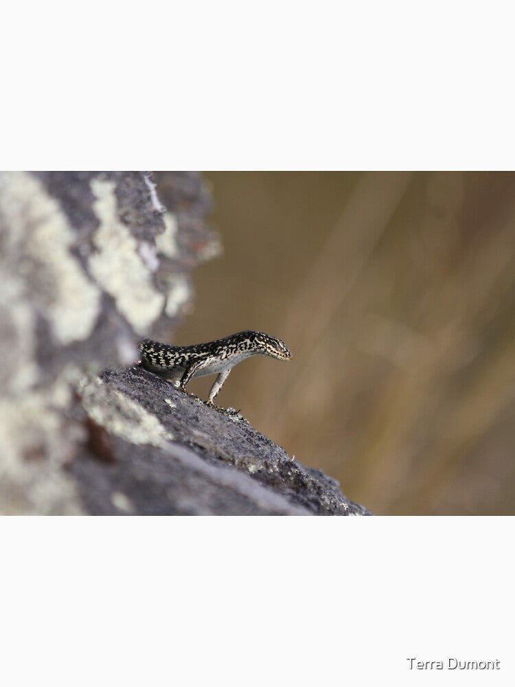 Grand Skink - Sentinel by Terra Dumont
