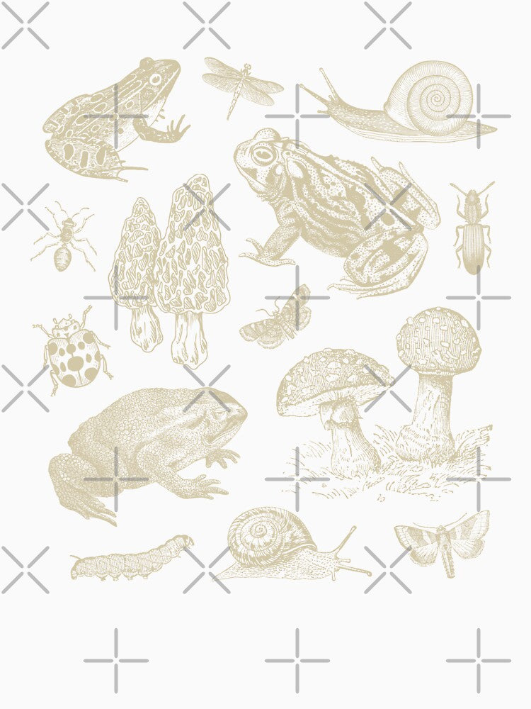 Goblincore Vintage Biology: Nature Lover's Collection of Frog, Mushroom, Snail, and Moth Insects for Science and Natural History Fan by MinistryOfFrogs