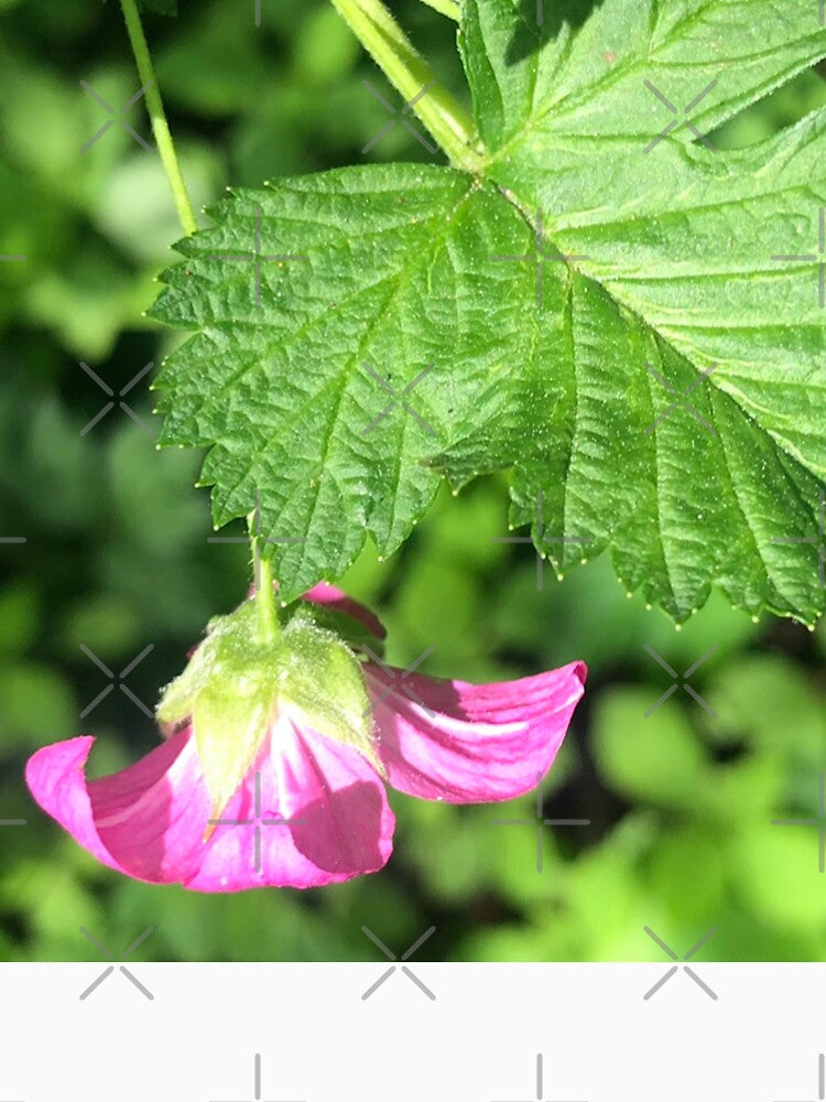 The Tender Pink Blossom of Spring by Photomersion