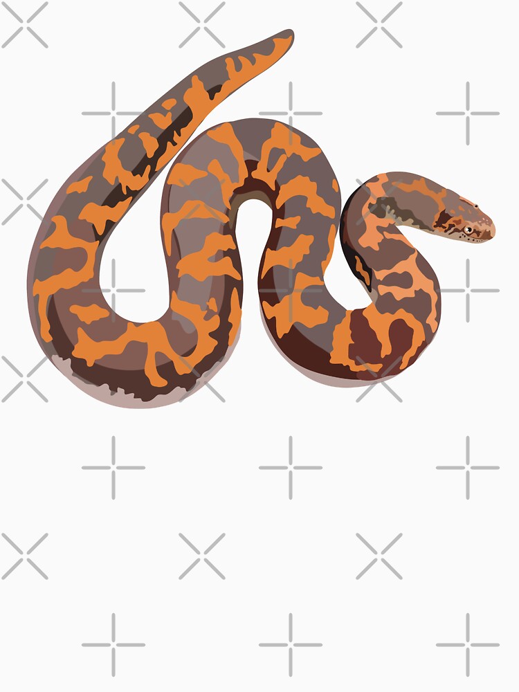S is for Sand Boa,Sand Boa – Burrowing Desert Snake Wildlife Illustration by PrettylittlepastelUk