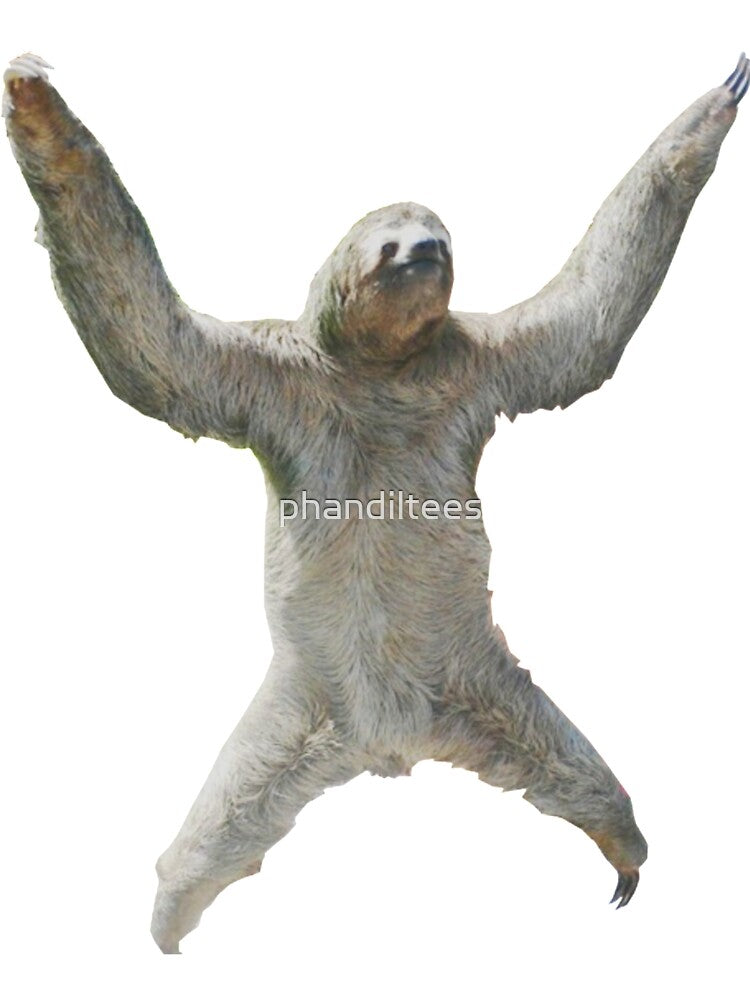 Flying Sloth! by DoodleDashCollective