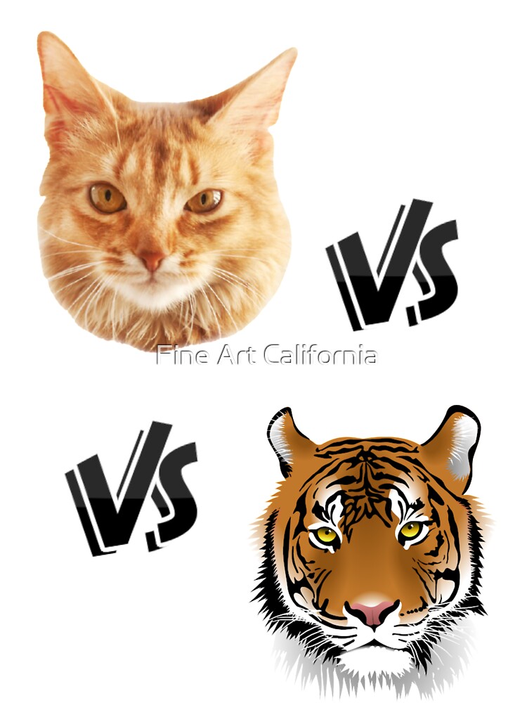 Cat Vs Tiger by Fine Art California