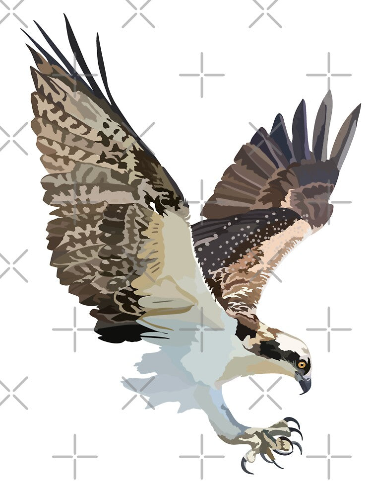 O is for Osprey,Osprey – Majestic Fish-Eating Bird of Prey by PrettylittlepastelUk