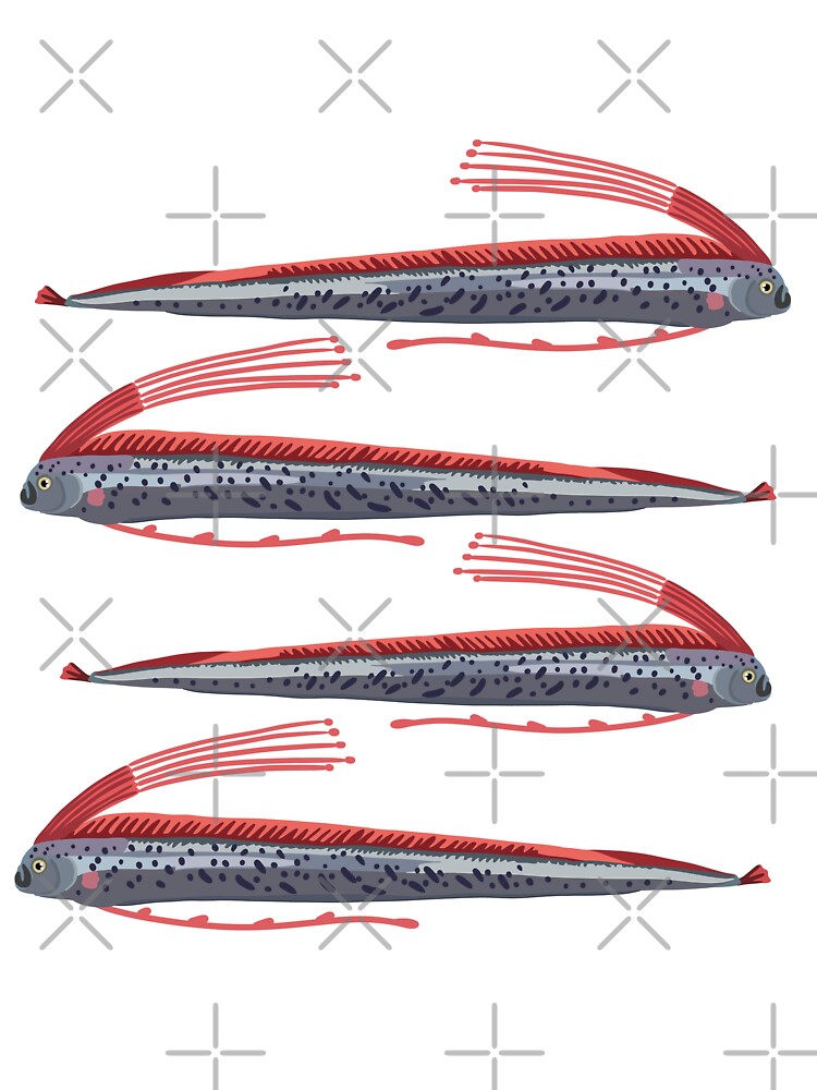 O is for Oarfish,Oarfish – Mysterious Deep Sea Giant Illustration by PrettylittlepastelUk