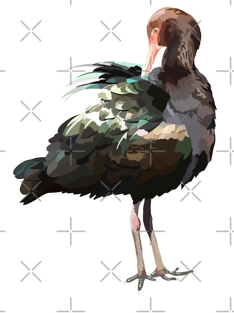 P is for Puna Ibis,Puna Ibis – Unique High-Altitude South American Wading Bird by PrettylittlepastelUk