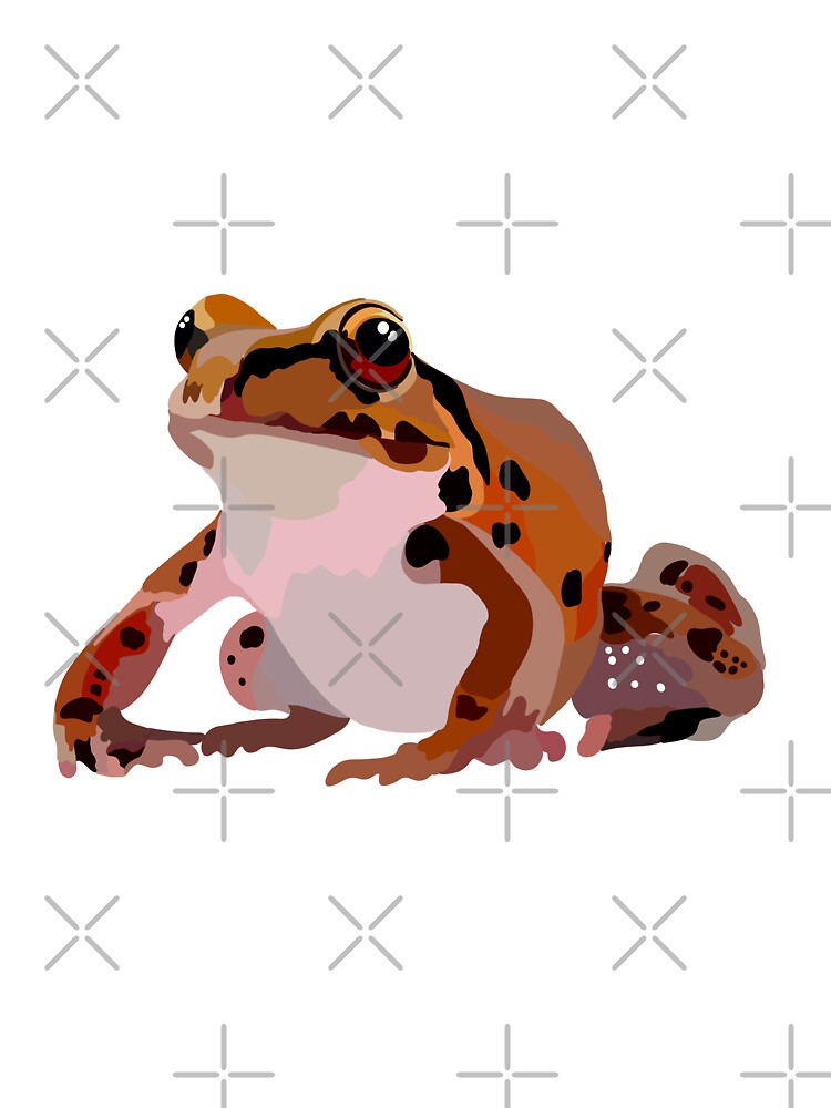 M is for Mountain Chicken Frog,Mountain Chicken Frog Artwork – Unique Amphibian Illustration and Caribbean Wildlife Design by PrettylittlepastelUk