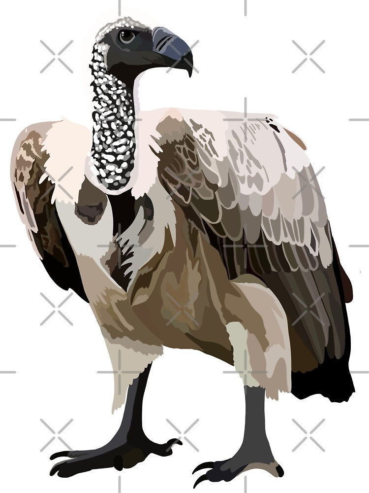 W is for White Backed Vulture,White-Backed Vulture Illustration – Iconic African Scavenger Bird Wildlife Art by PrettylittlepastelUk