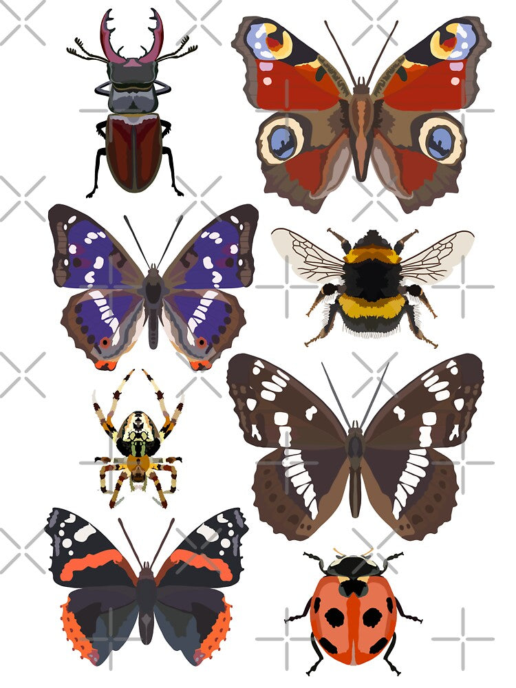 B is for British Insect, British Insects | Nature Lover & Wildlife Art Design by PrettylittlepastelUk