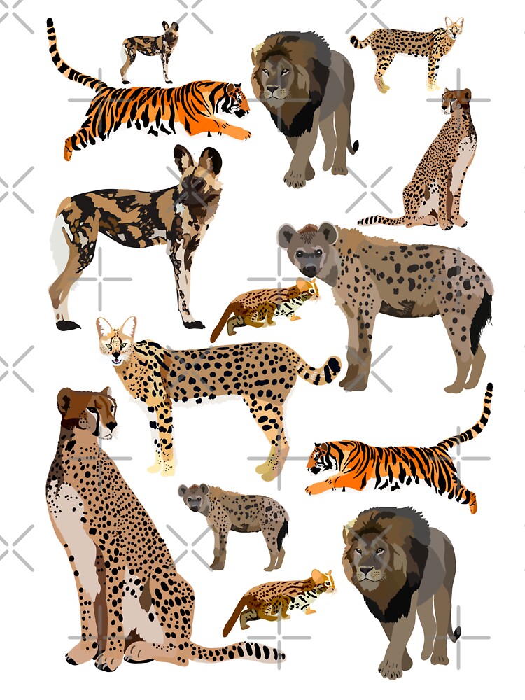 C is for Carnivore, Carnivore Artwork – Big Cat and Fossa Illustration Featuring Wild Predator Design by PrettylittlepastelUk
