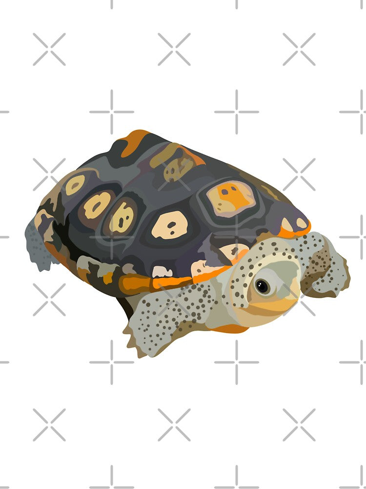 D is for Diamond Back Terrapin,Diamondback Terrapin Artwork – Detailed Turtle Illustration and Coastal Wildlife Design by PrettylittlepastelUk