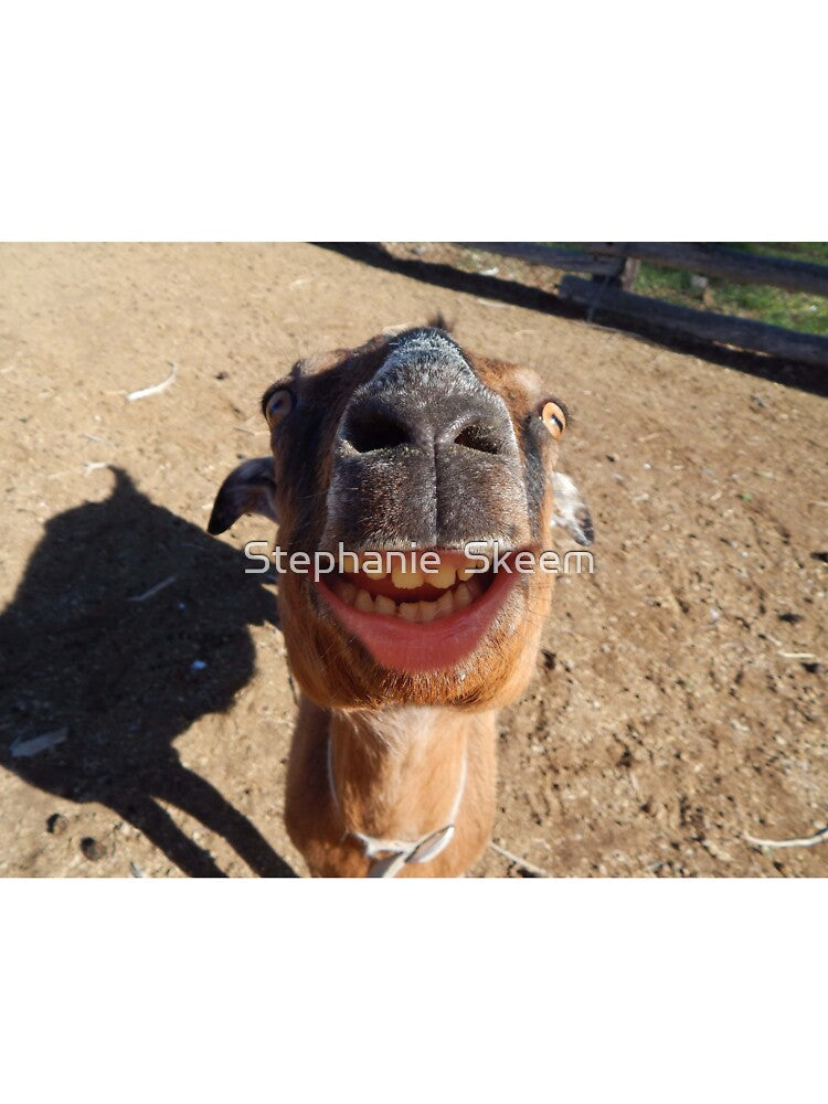 Funny goat by Stephanie  Skeem