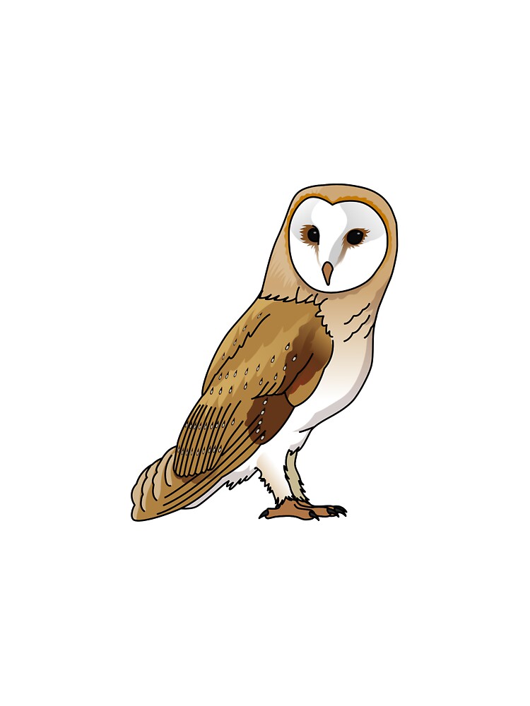 Owl by Wittylot