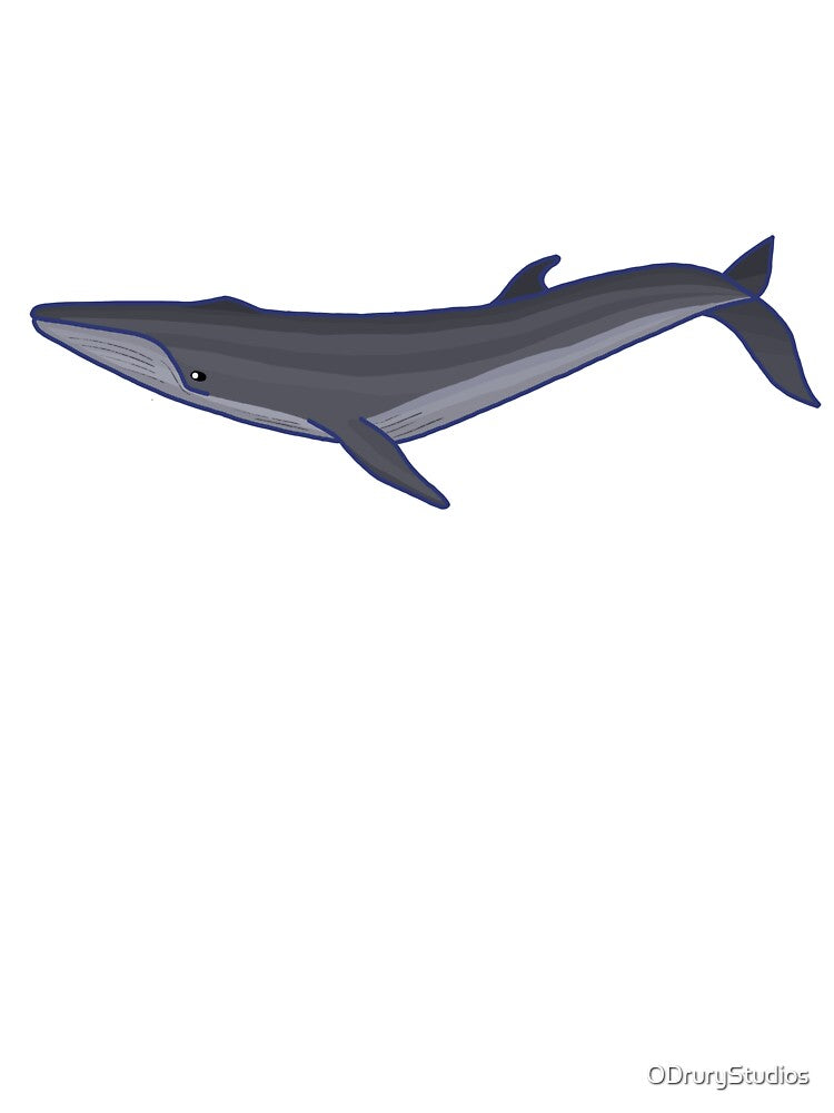 Rice's Whale by ODruryStudios