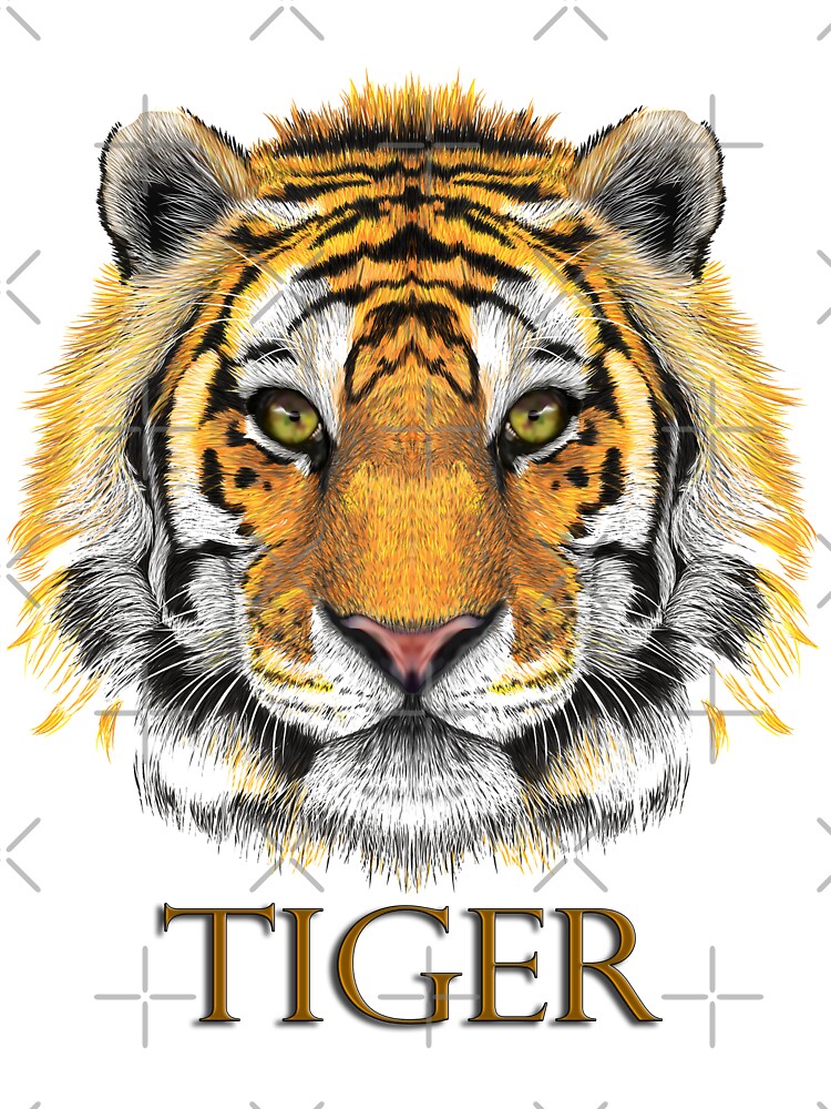 Bengal Tiger Face by svetlana84