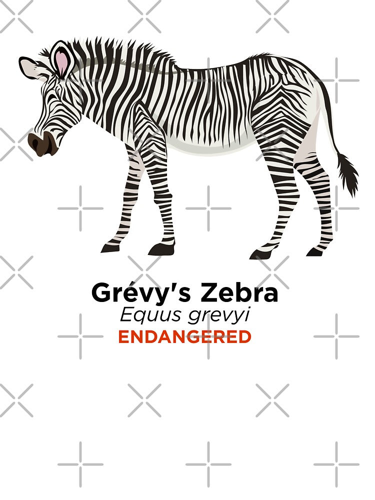 Grévy's Zebra by Peppermint Narwhal