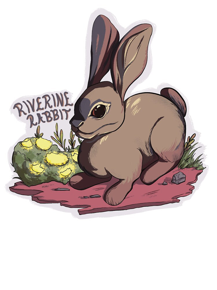 Riverine Rabbit (Endangered Species) by Dragon Blossom Art