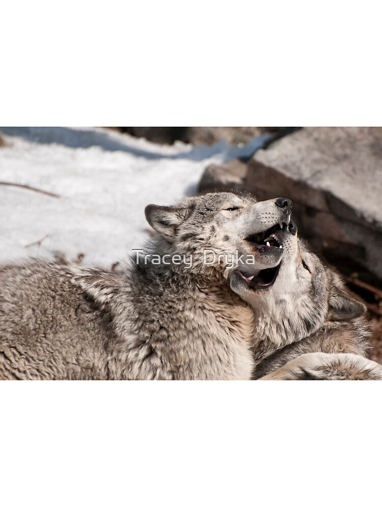 More Than a Mouthful by Tracey  Dryka