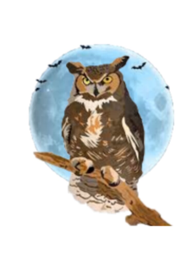 Owl and Moon by AllandEveryone