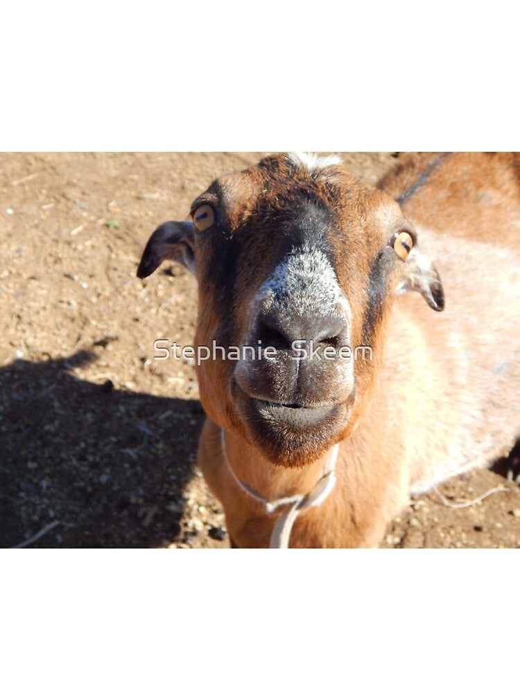 best day ever goat smile by Stephanie  Skeem