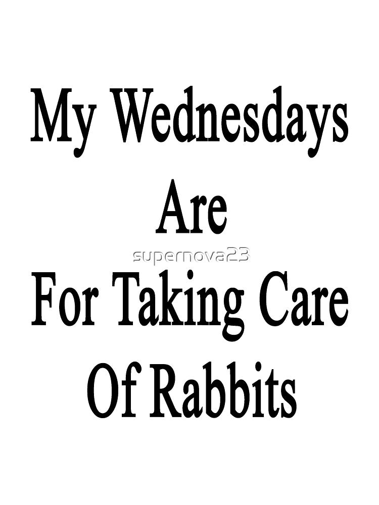 My Wednesdays Are For Taking Care Of Rabbits by supernova23