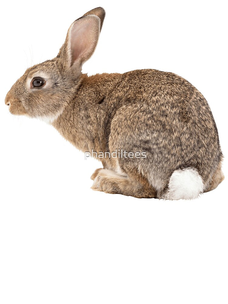 Rabbit by DoodleDashCollective