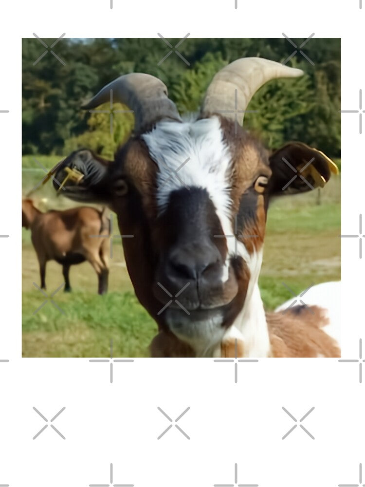 Cute Happy Farm Goat by TheAnimalZ00