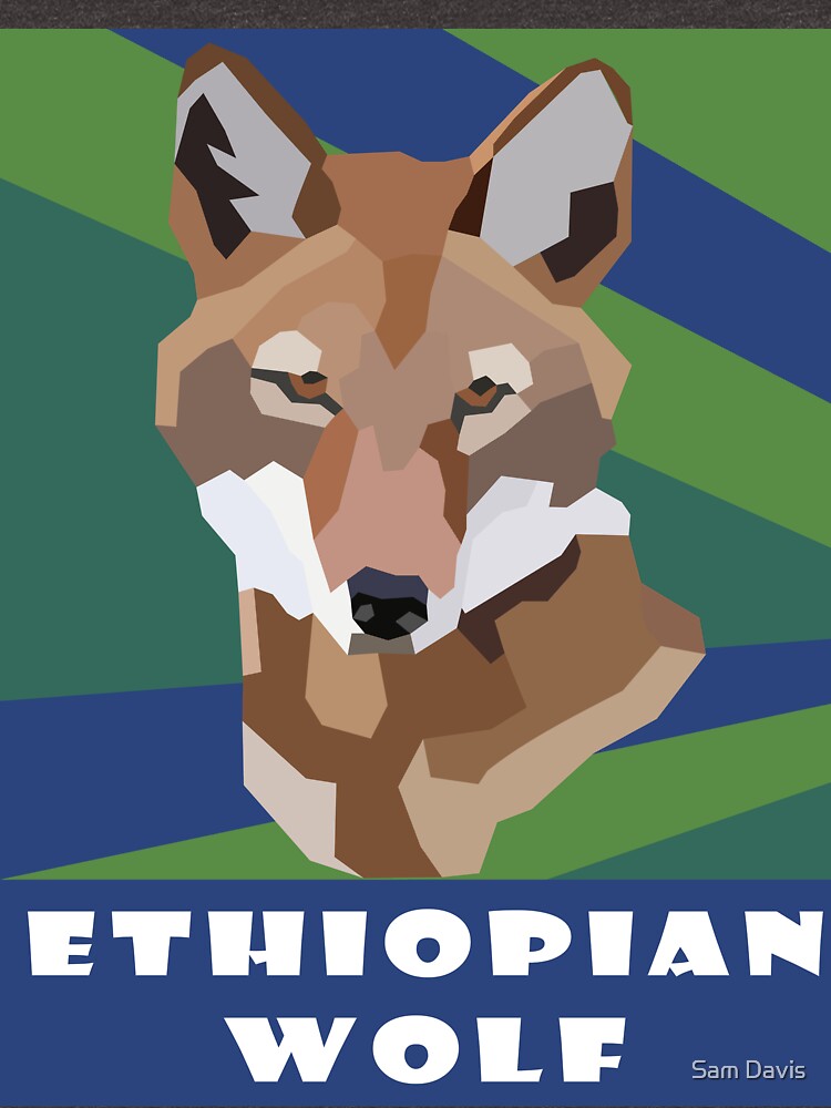 Ethiopian Wolf Endangered Species by Bug & Brush