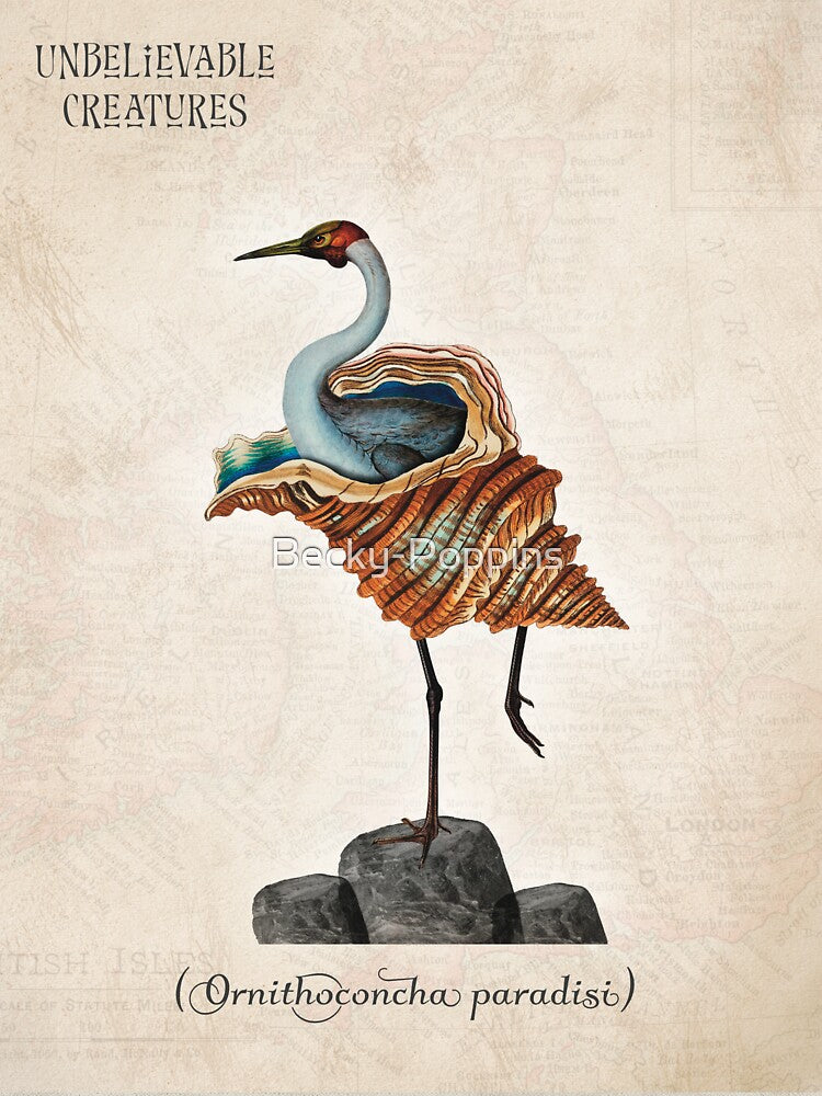 Ornithoconcha Paradisi | Exotic Shell Bird Surreal Collage Creature by Becky-Poppins