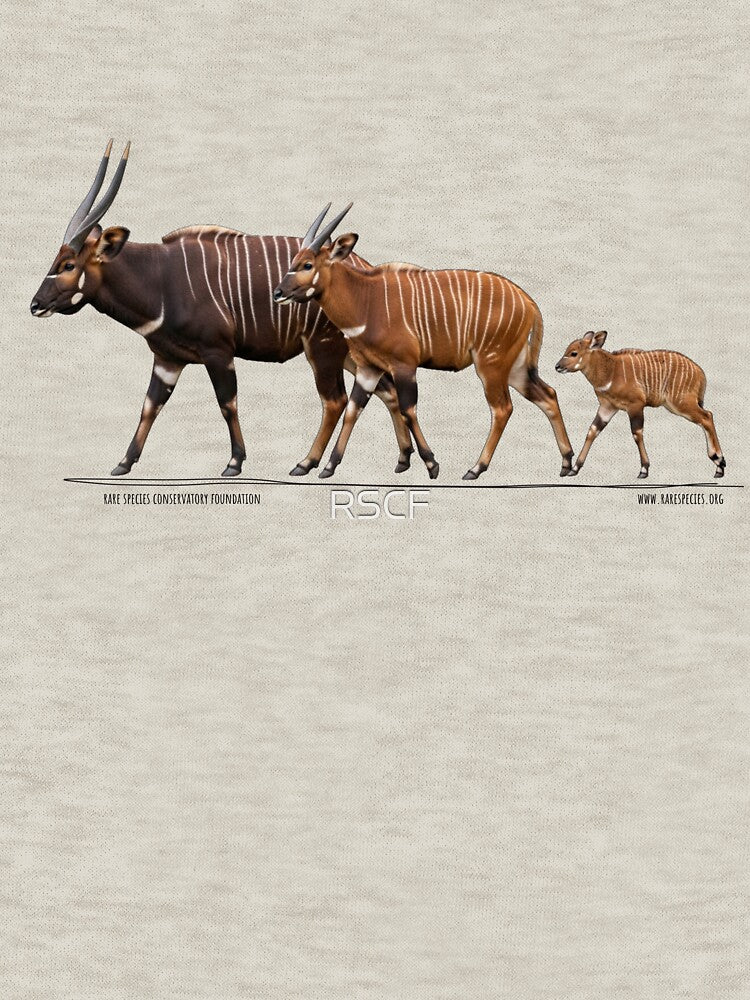Mountain Bongo on Parade by RSCF by RSCF
