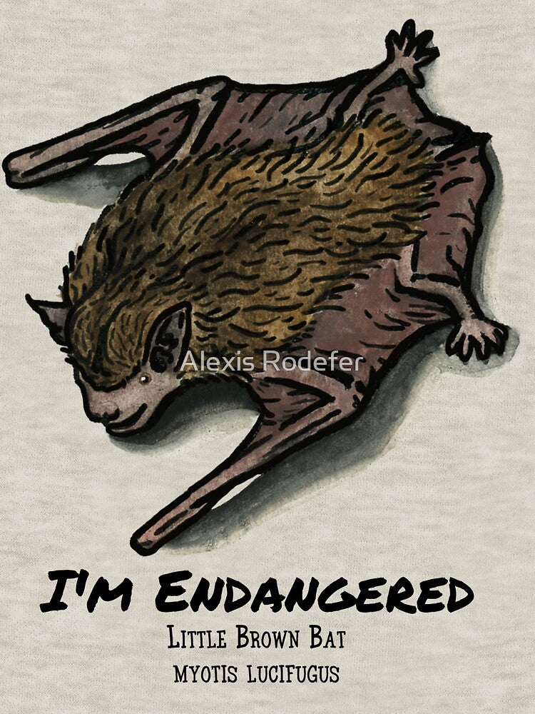 Little Brown Bat- I'm Endangered by Alexis Rodefer