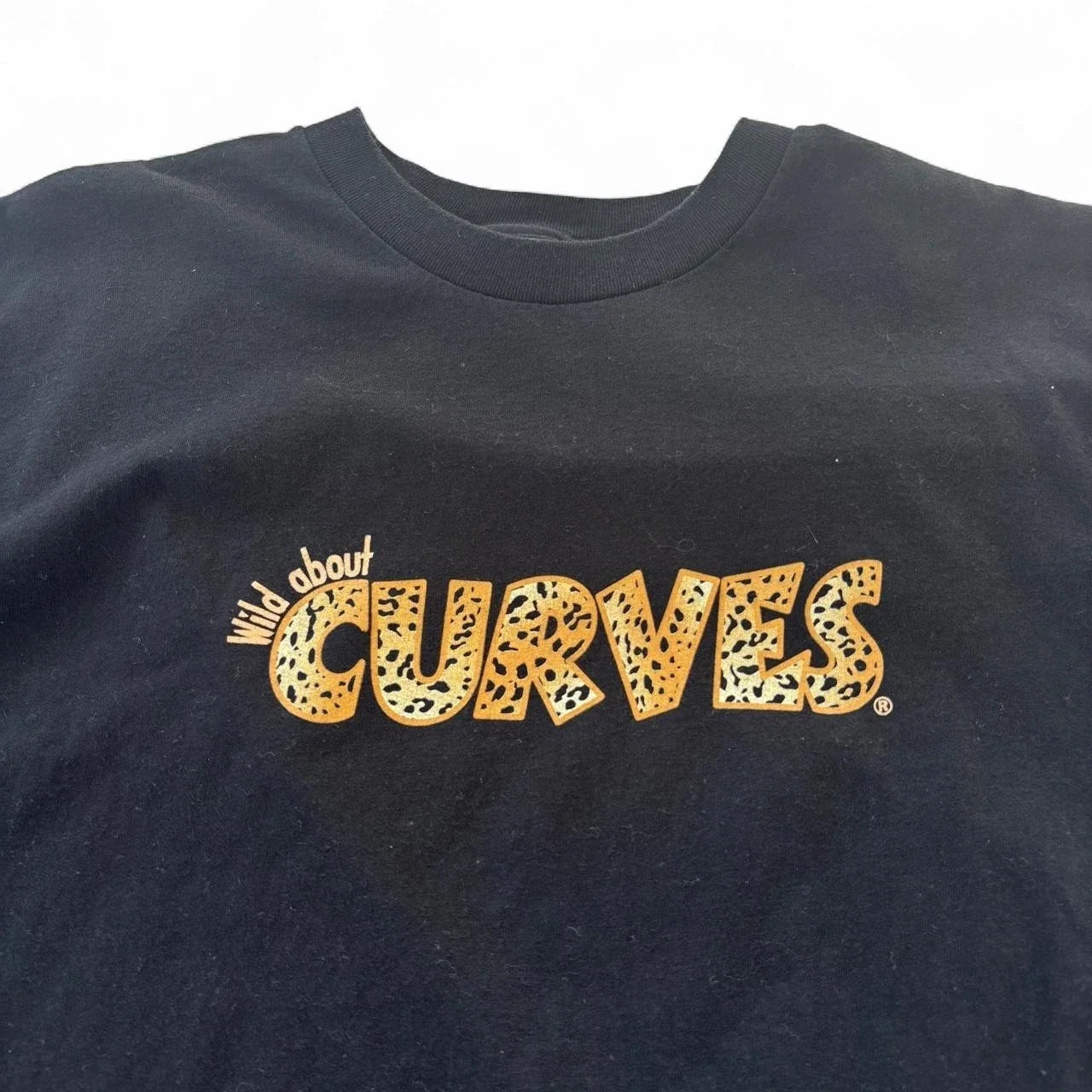 Y2K Wild About Curves leopard print graphic Hanes heavyweight t-shirt