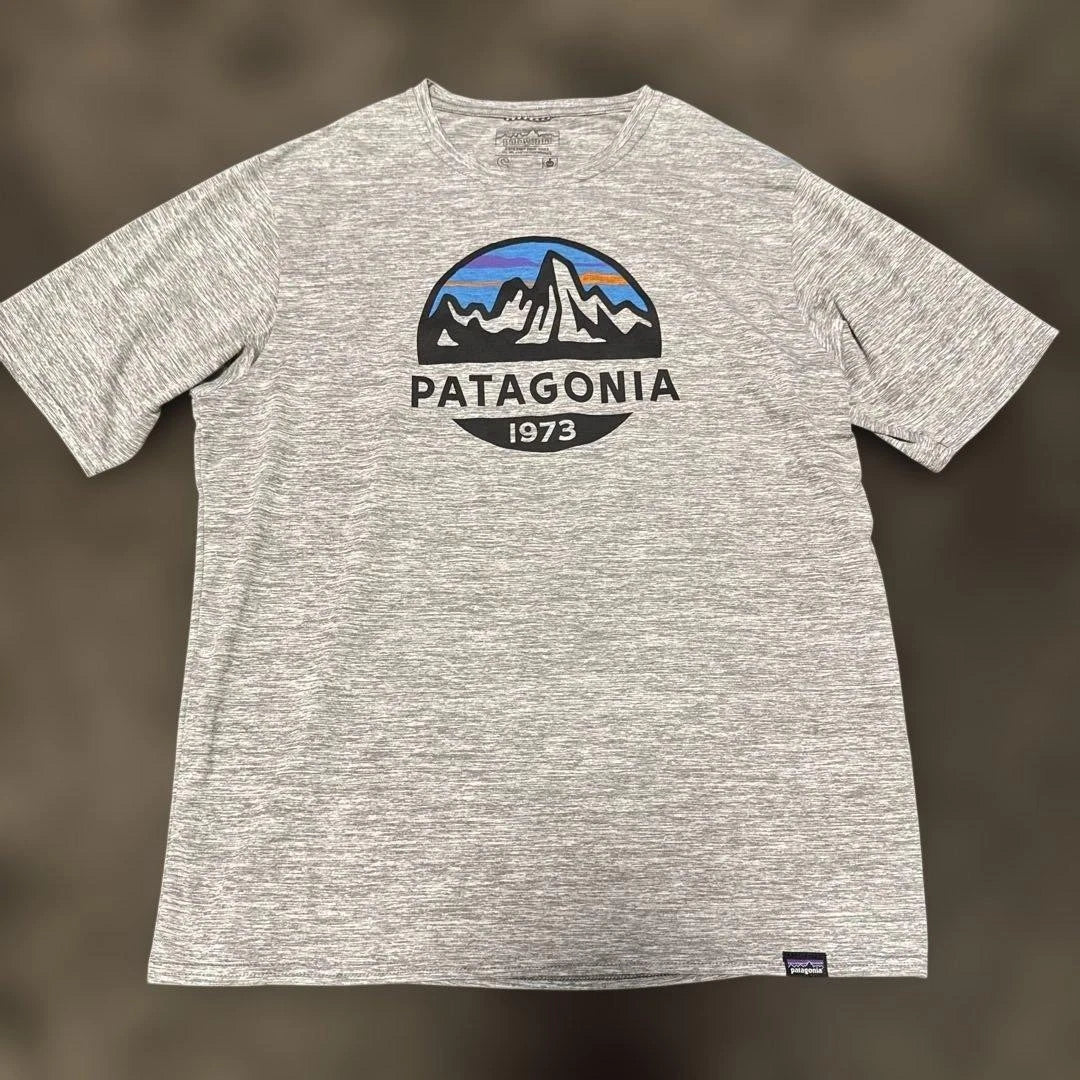 Patagonia Men's Capilene Cool Daily S T-Shirt Gray UPF 50 Active Wear