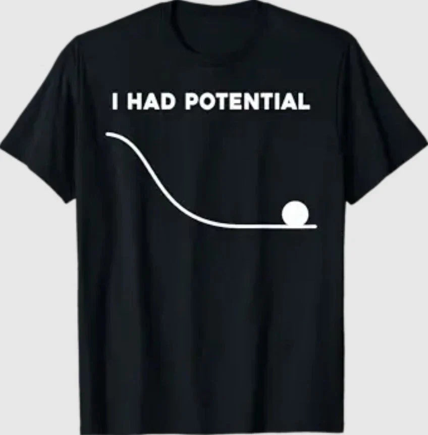 I Had Potential Funny Sarcastic Minimal Quote T-Shirt