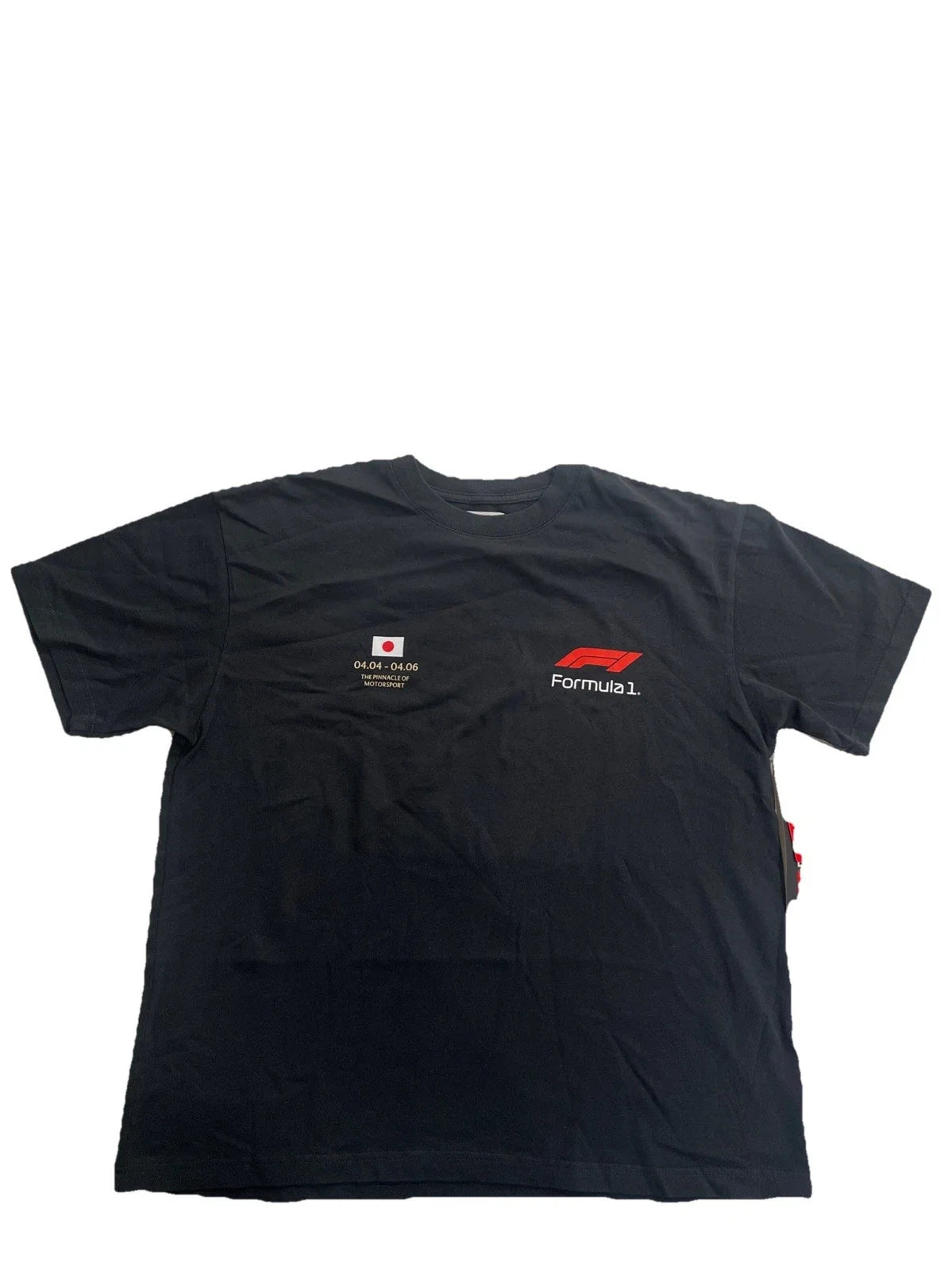 Pacsun Formula 1 Speed Oversized SS T-shirt Black Size L