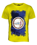 STATE VIRGINIA GRUNGE FLAG MENS T-SHIRT TEE SHIRT XS S M L XL 2XL 3XL