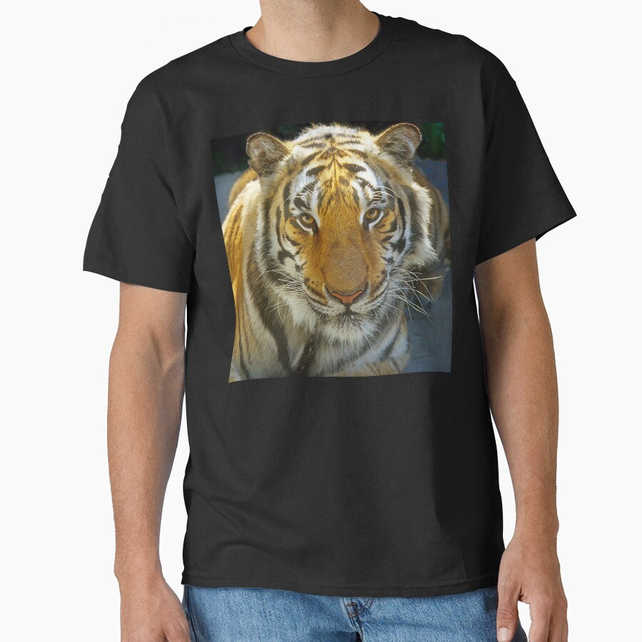 Tiger Face: Up Close and Very Personal Art Photo by DEC02