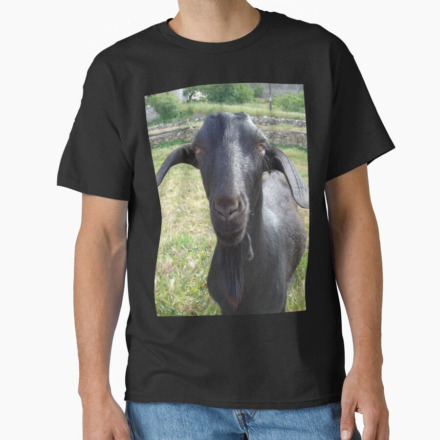Black goat -  funny goat by animal-animal