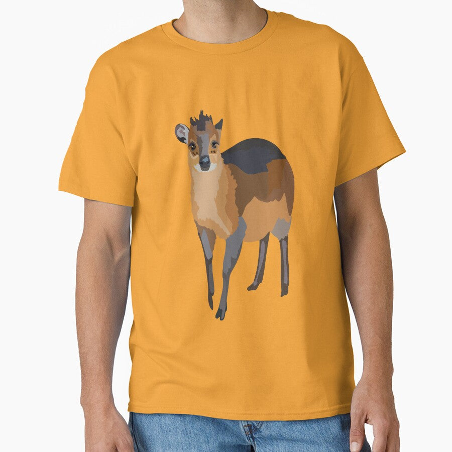 R is for Red Flanked Duiker, Red Flanked Duiker – Small African Antelope Wildlife Illustration by PrettylittlepastelUk