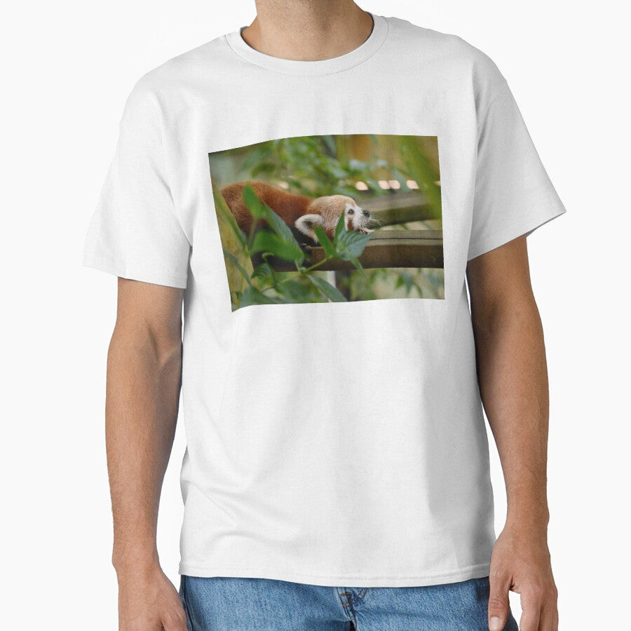 Red Panda Animal Lover Wildlife Mammal by JunoLoyder84