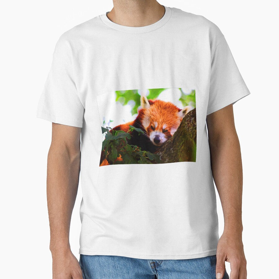Red Panda by Focal-Art