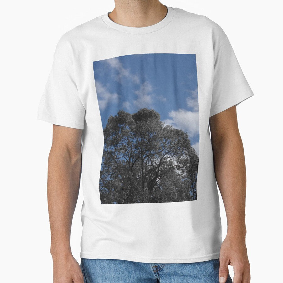 black and white trees with blue sky by BigAndRed