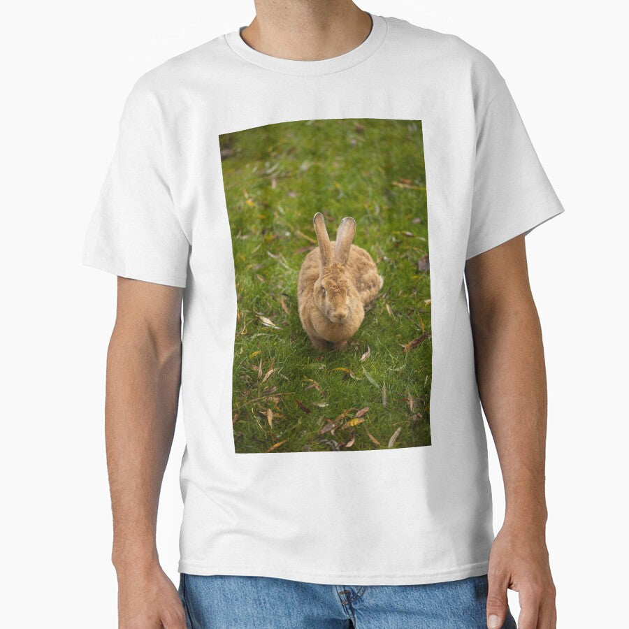Large Rabbit by LizzieMaher