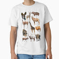 H is for Hoofstock,Hoofstock Artwork – Diverse African and Asian Ungulates Featuring Giraffe, Camel, Warthog, Takin, Okapi, and Roan Design by PrettylittlepastelUk