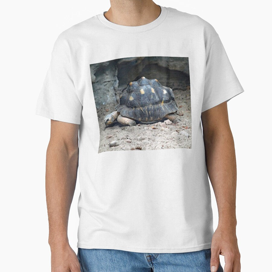 Radiated Tortoise by Strawflower Oasis