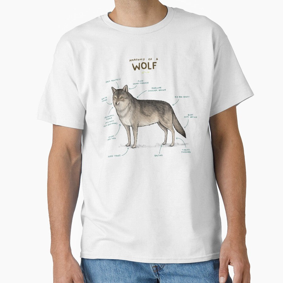 Anatomy of a Wolf by SophieCorrigan