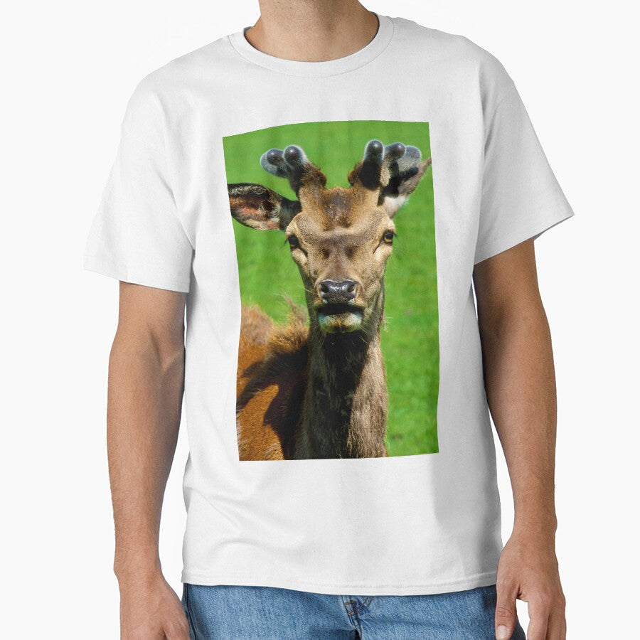 Fearless Deer by purelightimages