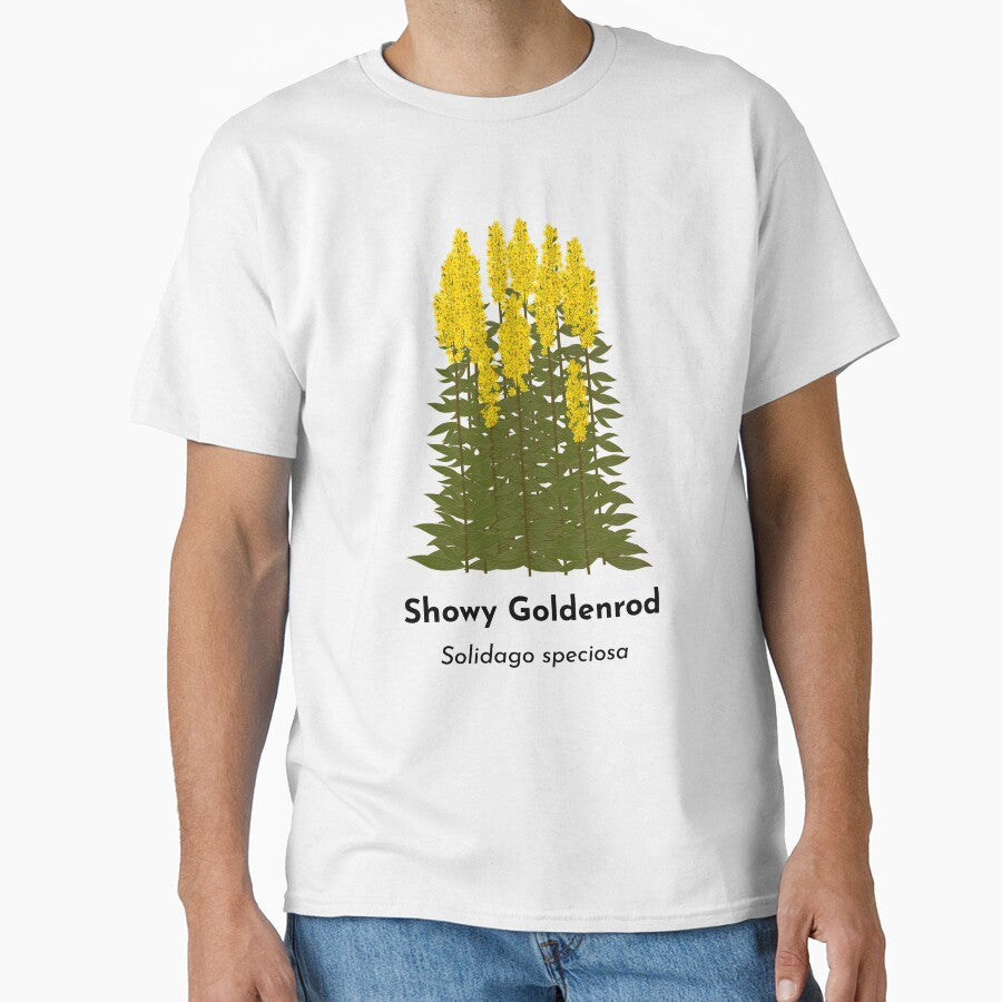 Showy Goldenrod (Solidago speciosa) by Bittersweet Gardener