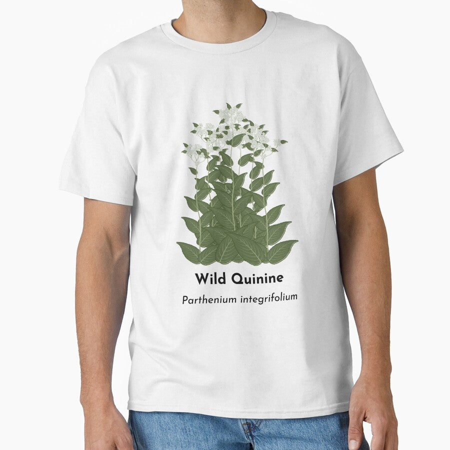 Wild Quinine (Parthenium integrifolium) by Bittersweet Gardener